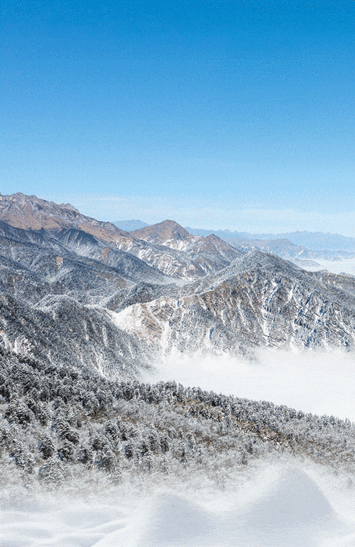 西岭雪山官宣：夏季“野趣西岭 ”系列上新