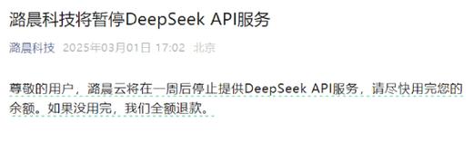 面临巨亏风险？有公司宣布暂停DeepSeek API服务，圈内在争什么？