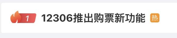 春运购票不用再定闹钟了！12306试点自动提交购票订单功能