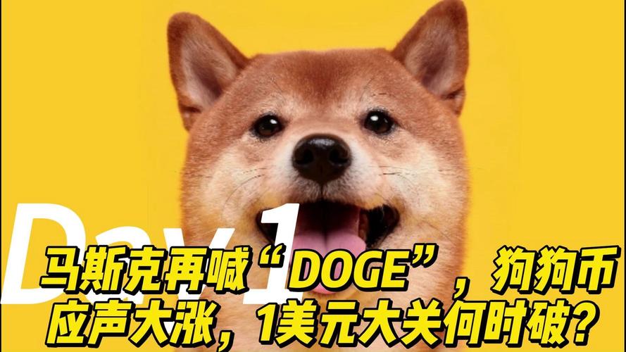 白宫确认DOGE主管另有其人，共和党人欲与马斯克保持距离