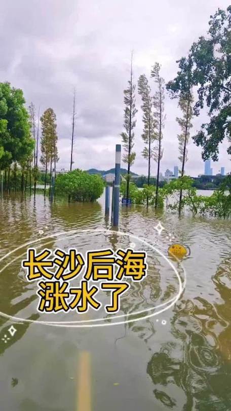 长沙还有暴雨、大暴雨！