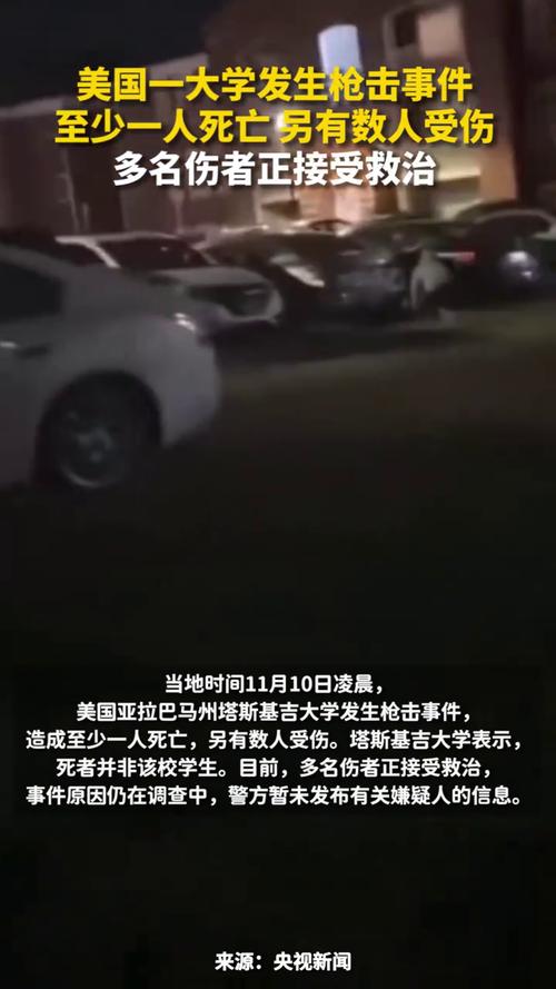 美国芝加哥地铁发生枪击致4死：枪手“随机杀人”，死者“均为流浪汉”