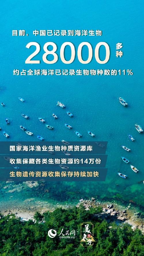 海洋生态环境保护白皮书发布 65个海湾正在拉网式进行海洋垃圾清理工作