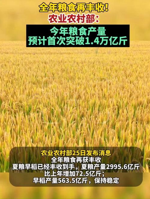 我国粮食年产量首次迈上1.4万亿斤新台阶