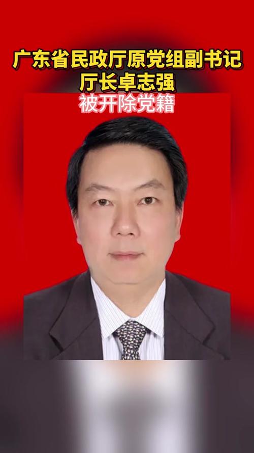 想“退休后好好享受”的厅官卓志强被开除党籍，还被取消退休待遇