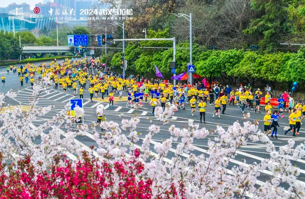 武马：三万人跨江越湖邂逅“樱花季”