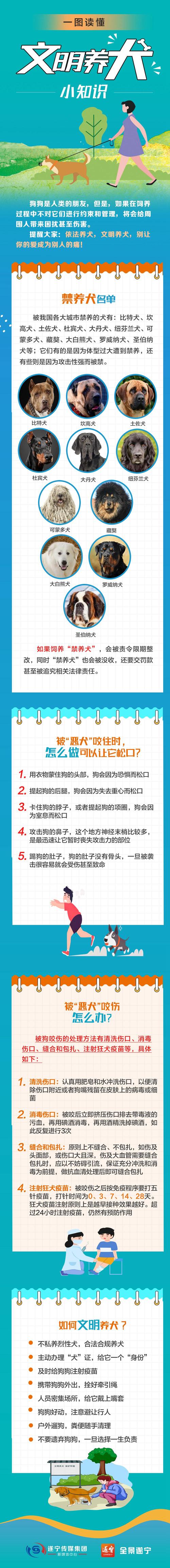 弃养宠物行为多发 如何提高养宠的责任门槛？