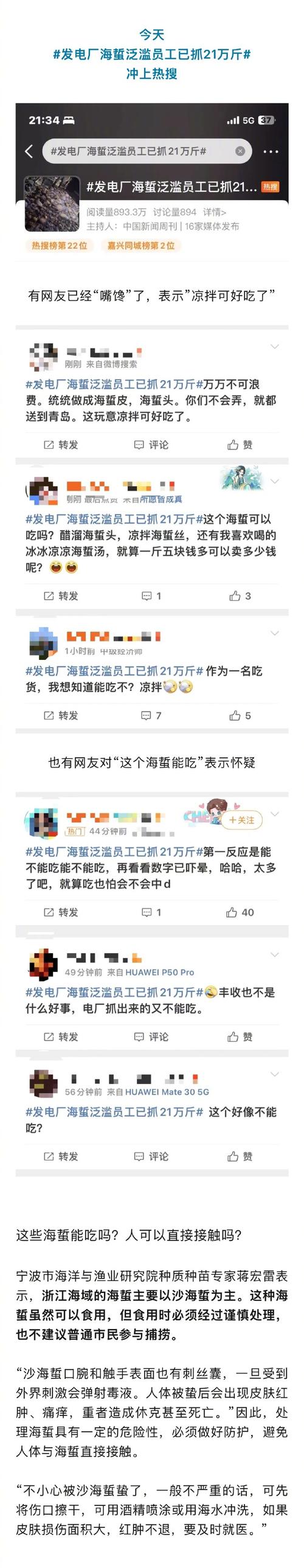 捞不完真的捞不完，浙江一发电厂遭遇“海蜇危机”，网友提出“吃货”建议，专家给出分析