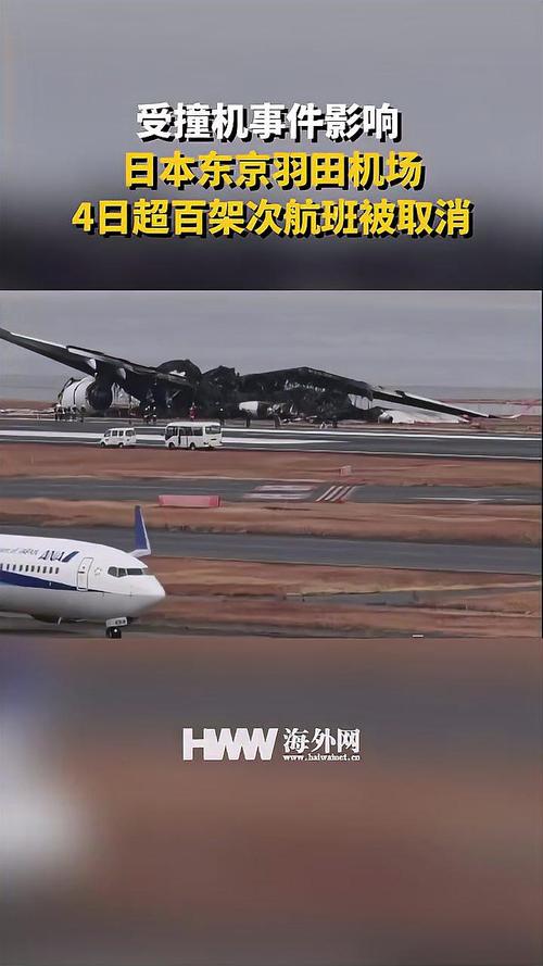 受台风影响 日本航空决定取消超百架次航班