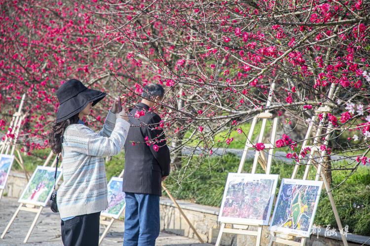 2024年宜昌市乡村旅游在宜都正式启动