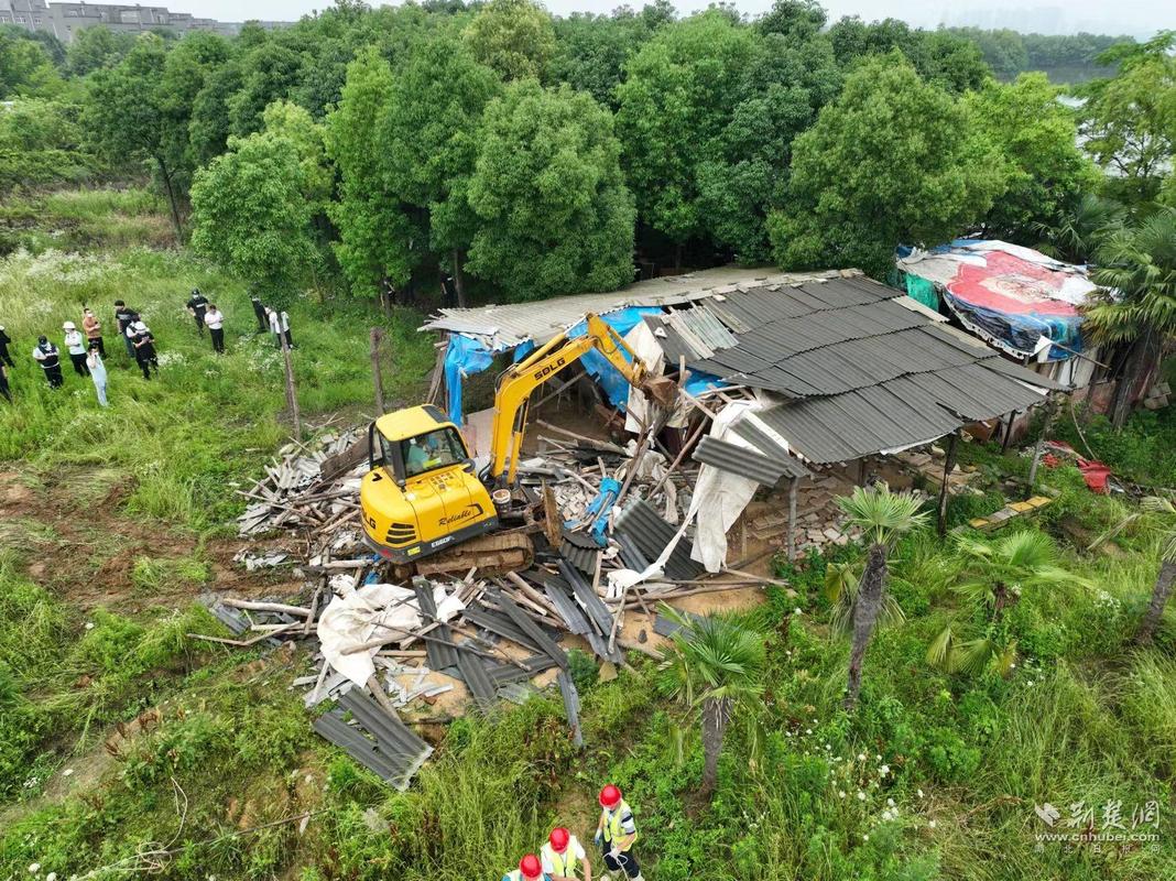 东湖风景区城管：一处违建从发现到拆除不到18小时