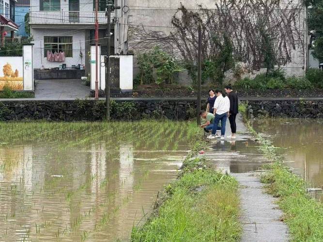 雨水倒灌派出所被淹怎么办？群众来了照常办事！