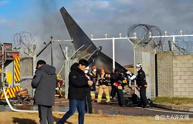 韩国：将拆除务安机场跑道“致命土墙”